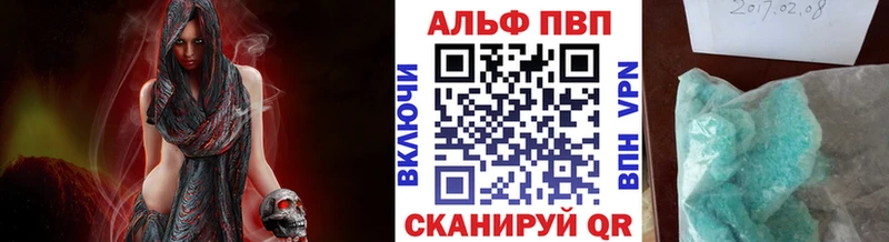 закладка  Новая Ладога  APVP СК КРИС 