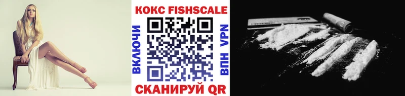 закладки  Новая Ладога  COCAIN Эквадор 