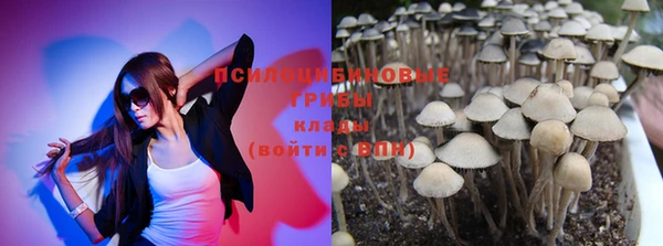apvp Ладушкин