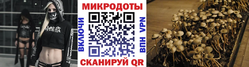 Псилоцибиновые грибы MAGIC MUSHROOMS  что такое наркотик  Новая Ладога 